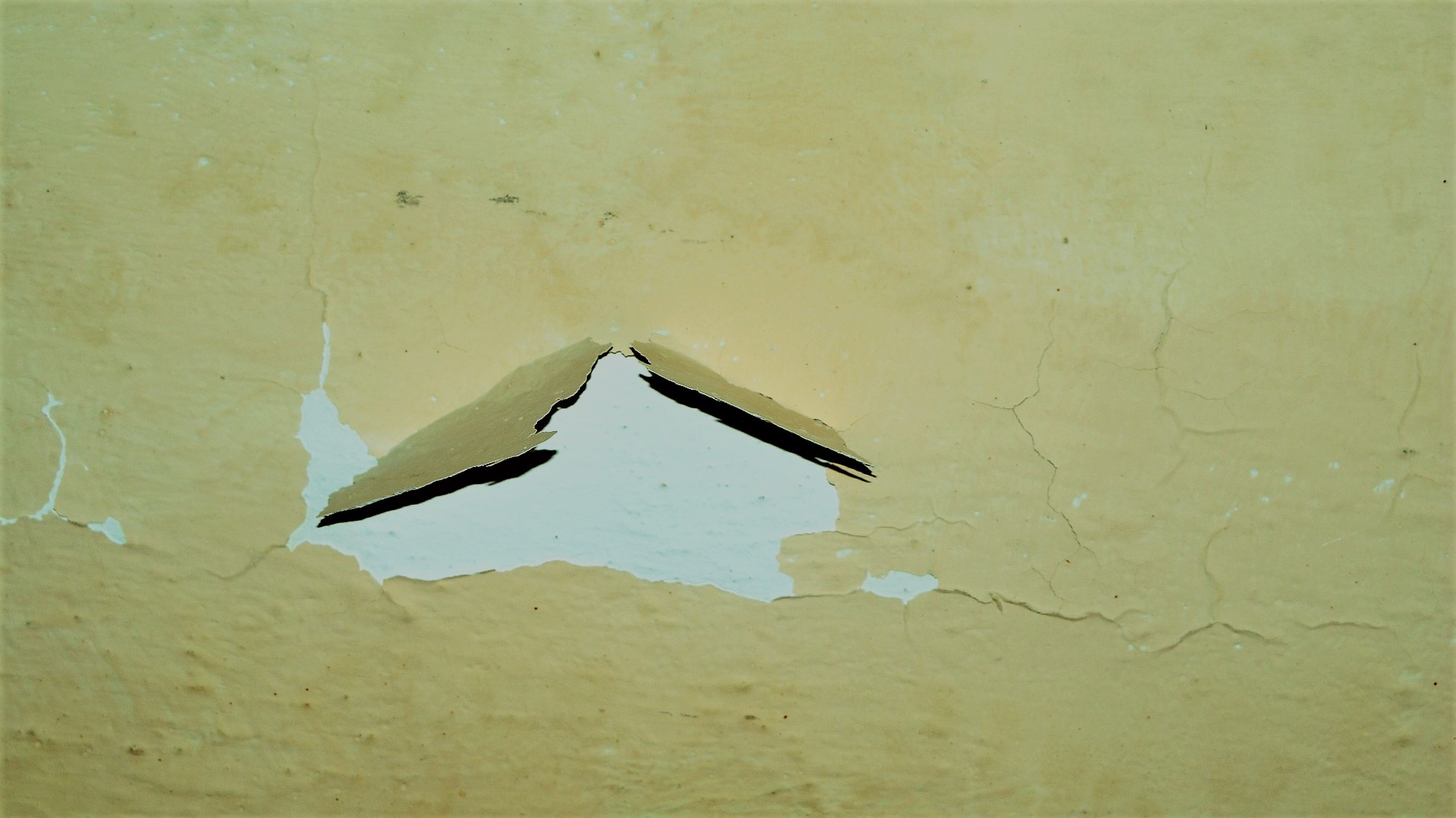 Know The Five Common Causes Of Paint Failure And The Way To Resolve